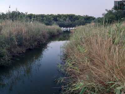 La riserva naturale di Stornara